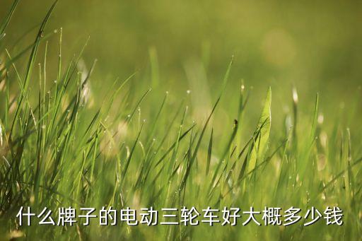 什么牌子的電動三輪車好大概多少錢