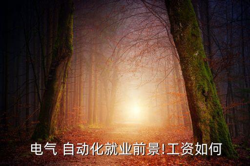  電氣 自動(dòng)化就業(yè)前景!工資如何