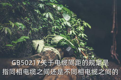 GB50217關(guān)于電纜間距的規(guī)定是指同相電纜之間還是不同相電纜之間的