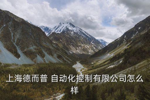 上海德而普 自動(dòng)化控制有限公司怎么樣