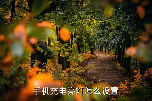 手機(jī)充電亮燈怎么設(shè)置