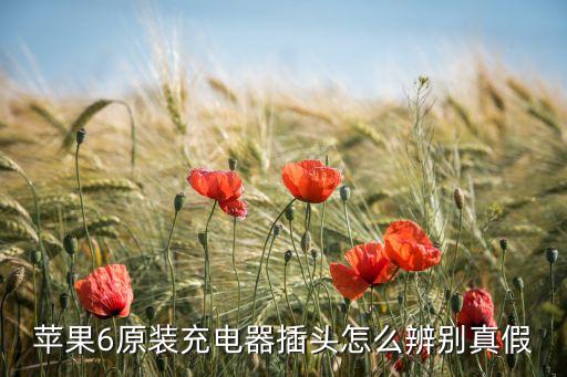 蘋果6原裝充電器插頭怎么辨別真假