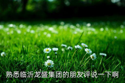 熟悉臨沂龍盛集團的朋友評說一下啊