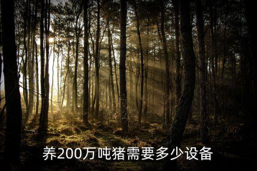 養(yǎng)200萬噸豬需要多少設(shè)備