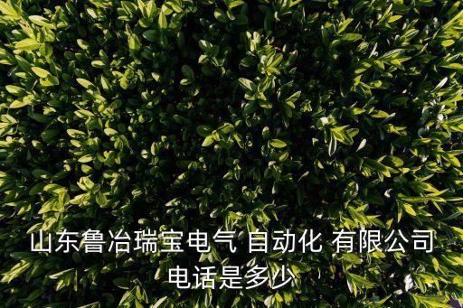 山東魯冶瑞寶電氣 自動(dòng)化 有限公司電話是多少