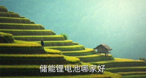 儲(chǔ)能鋰電池哪家好