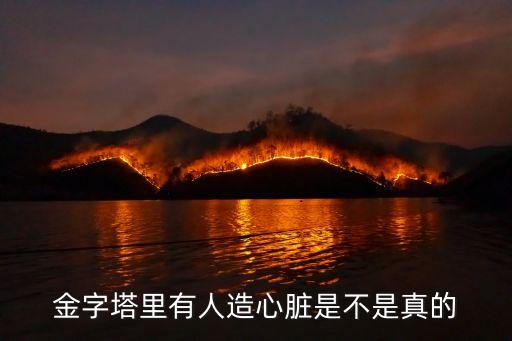 人造心臟，哪一年世界上首例人造心臟移植手術成功