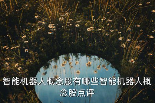 上海重型自動化設(shè)備概念,自動化設(shè)備有哪些?