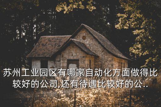 蘇州工業(yè)園區(qū)有哪家自動化方面做得比較好的公司,還有待遇比較好的公...