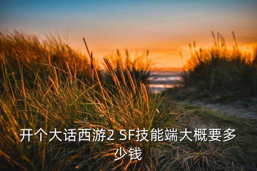 開(kāi)個(gè)大話西游2 SF技能端大概要多少錢(qián)