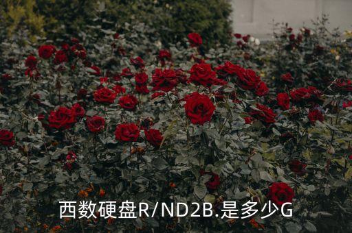 西數硬盤R/ND2B.是多少G