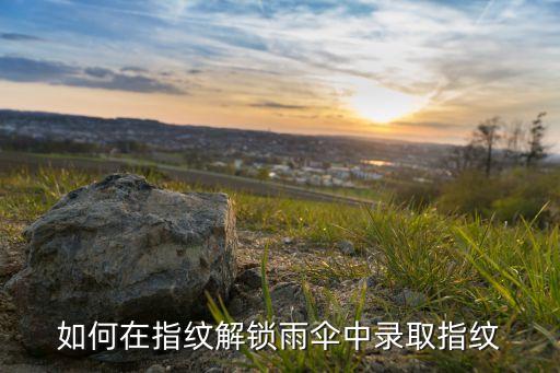 如何在指紋解鎖雨傘中錄取指紋