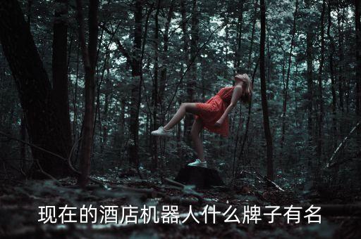 現(xiàn)在的酒店機器人什么牌子有名