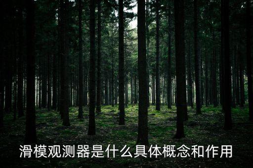 滑模觀測器是什么具體概念和作用