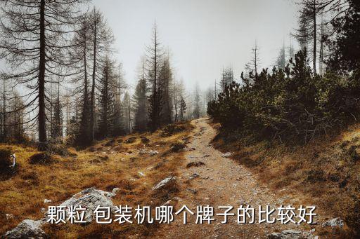 塑料顆粒自動(dòng)化包裝設(shè)備,常州自動(dòng)化包裝設(shè)備有限公司