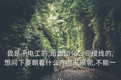 我是干電工的,給自動化公司接線的,想問下要朝著什么方向發(fā)展呢,不能一...