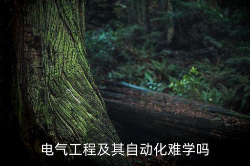 電氣工程及其自動(dòng)化難學(xué)嗎