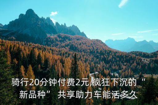 騎行20分鐘付費(fèi)2元,瘋狂下沉的“新品種” 共享助力車能活多久