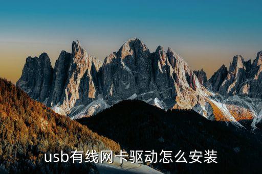usb網(wǎng)卡驅(qū)動(dòng)，usb有線網(wǎng)卡驅(qū)動(dòng)怎么安裝