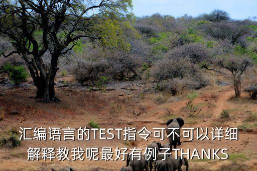 匯編語言的TEST指令可不可以詳細解釋教我呢最好有例子THANKS