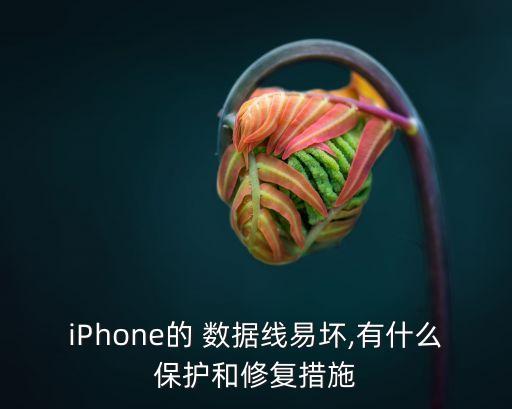 iPhone的 數(shù)據(jù)線易壞,有什么保護和修復(fù)措施