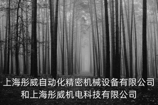 上海彤威自動(dòng)化精密機(jī)械設(shè)備有限公司和上海彤威機(jī)電科技有限公司