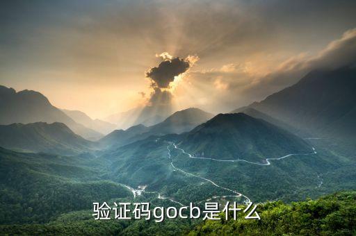 驗證碼gocb是什么