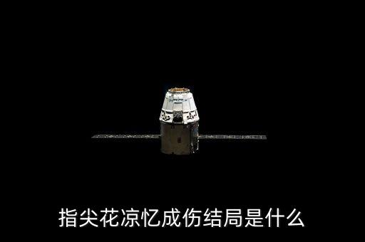指尖花，指尖花涼憶你成傷什么意思