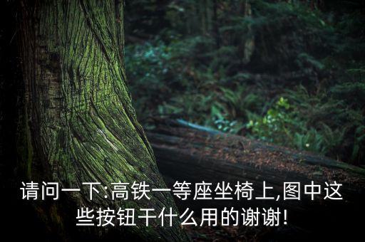 請(qǐng)問(wèn)一下:高鐵一等座坐椅上,圖中這些按鈕干什么用的謝謝!
