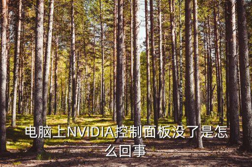 電腦上NVIDIA控制面板沒了是怎么回事