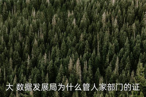 大 數(shù)據(jù)發(fā)展局為什么管人家部門的證