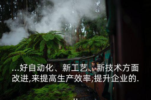 ...好自動(dòng)化、新工藝、新技術(shù)方面改進(jìn),來(lái)提高生產(chǎn)效率,提升企業(yè)的...