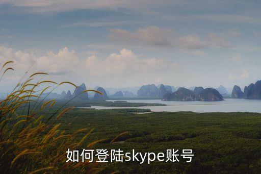 如何登陸skype賬號(hào)