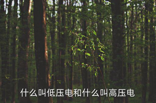 高壓電，什么叫低壓電和什么叫高壓電