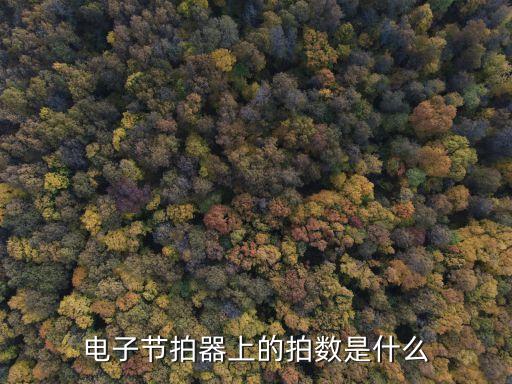 電子節(jié)拍器上的拍數(shù)是什么