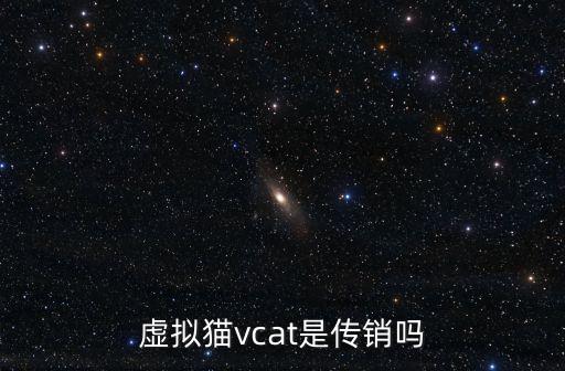 虛擬貓vcat是傳銷嗎