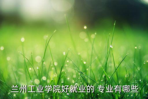  蘭州工業(yè)學院好就業(yè)的 專業(yè)有哪些
