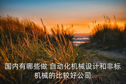 國內(nèi)有哪些做 自動化機械設(shè)計和非標(biāo)機械的比較好公司