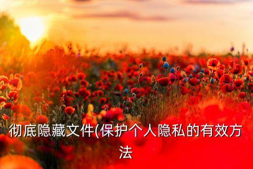 徹底隱藏文件(保護個人隱私的有效方法