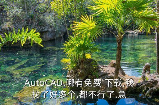 AutoCAD,哪有免費(fèi) 下載,我找了好多個(gè),都不行了.急