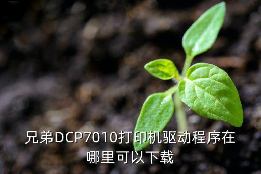 兄弟DCP7010打印機(jī)驅(qū)動(dòng)程序在哪里可以下載