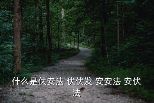 什么是伏安法 伏伏發(fā) 安安法 安伏法