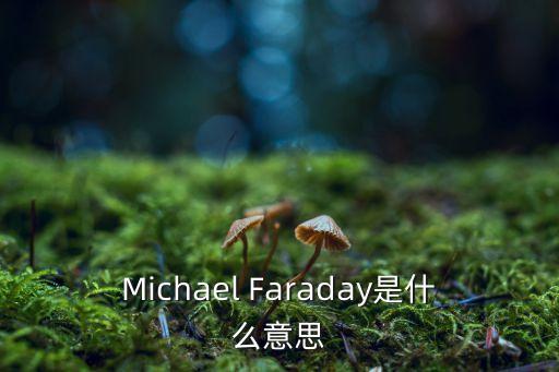 faraday，Michael Faraday是什么意思