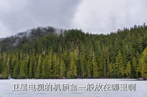 衛(wèi)星電視的機(jī)頂盒一般放在哪里啊