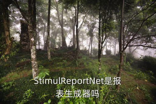 StimulReportNet是報(bào)表生成器嗎