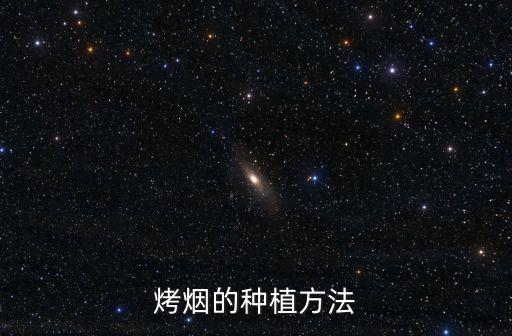 烤煙的種植方法