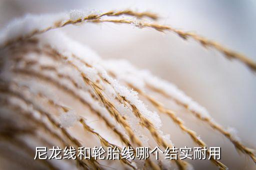 尼龍線和輪胎線哪個結(jié)實耐用