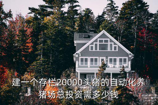 自動養(yǎng)豬自動化設備,自建現代化豬舍設備需要多少資金?