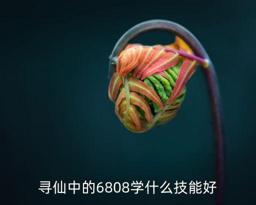 6808，6808翻譯成中文是什么意思