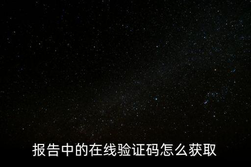 報告中的在線驗證碼怎么獲取